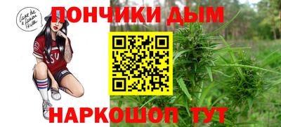 гидра Вышний Волочёк