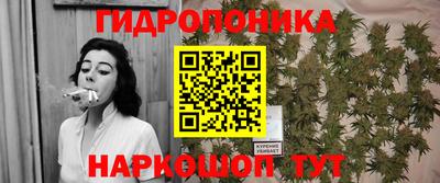 гидра Вышний Волочёк
