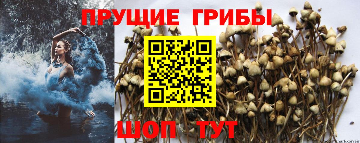 Псилоцибиновые грибы мухоморы  Вход с VPN  Еманжелинск 