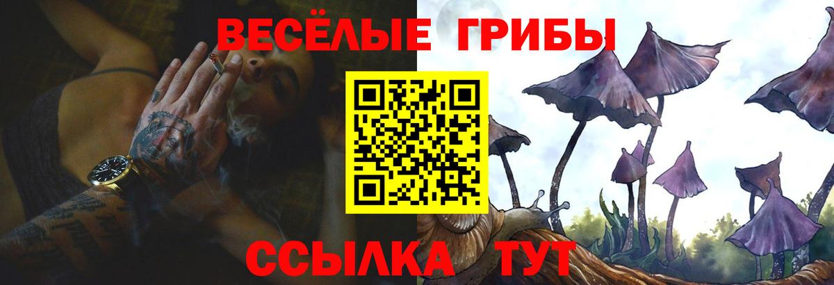 Галлюциногенные грибы GOLDEN TEACHER Еманжелинск